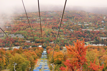 Fall Foliage