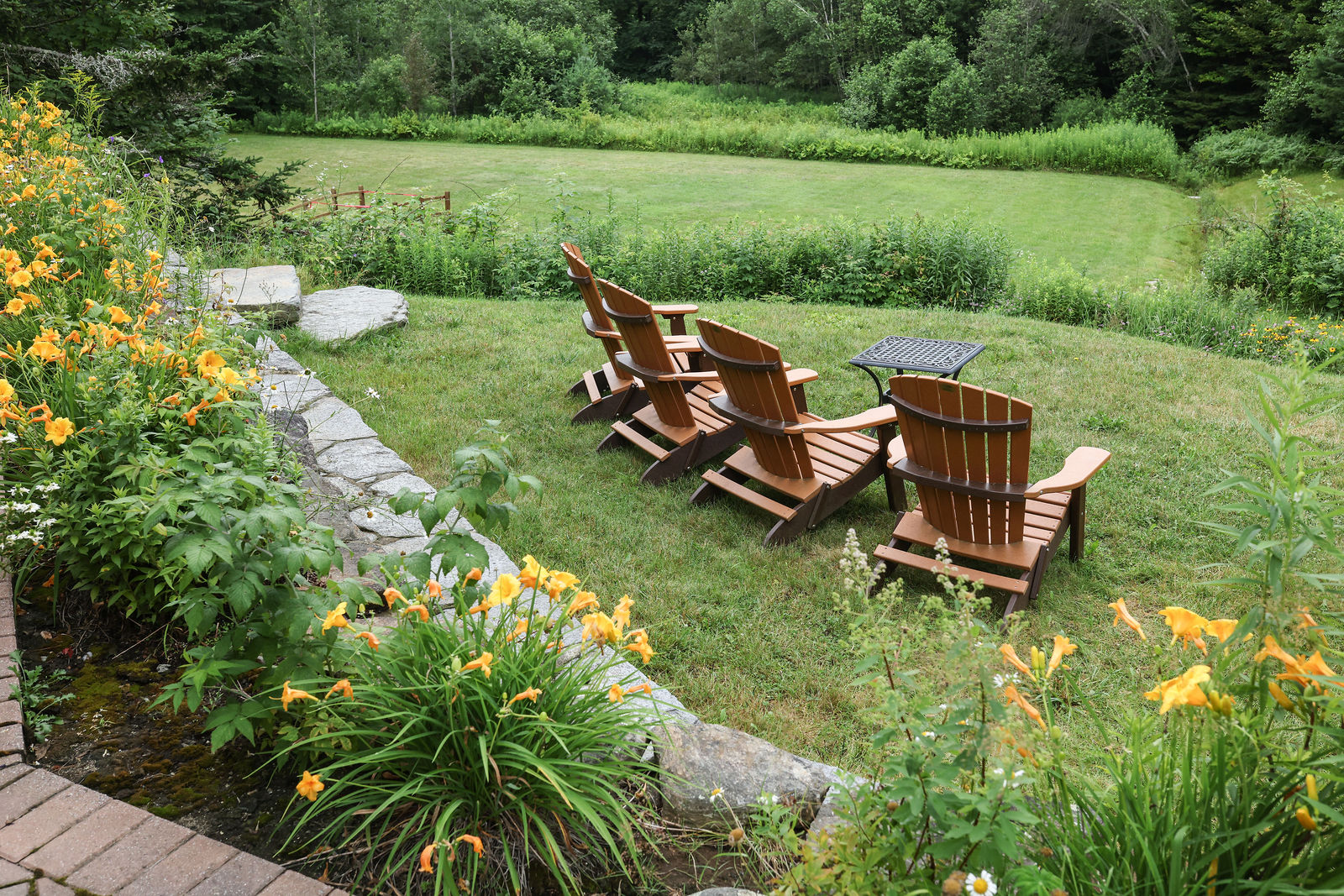 Adirondacks on the Meadow