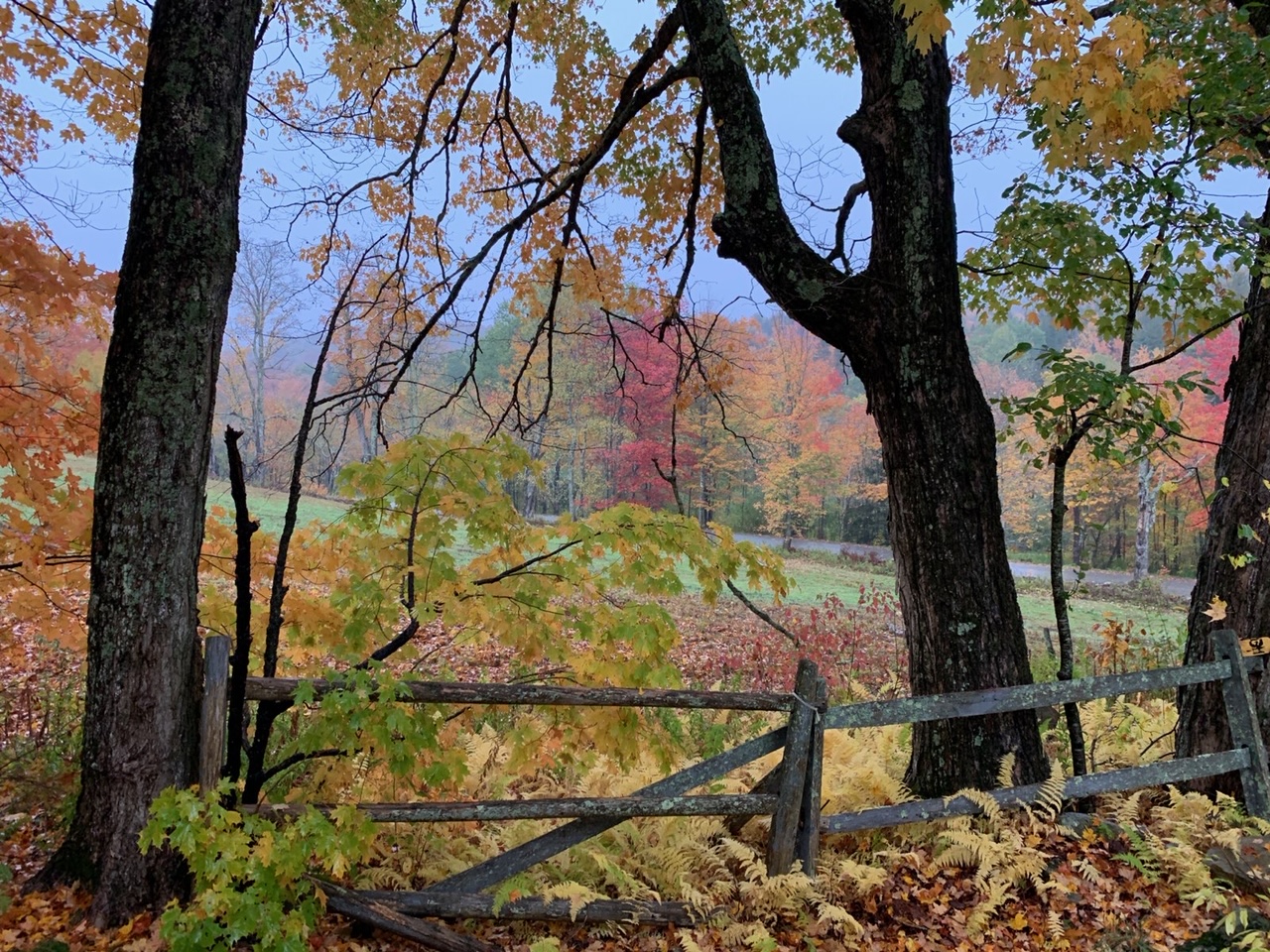 Fall at The Inn at Quail Run